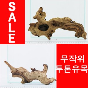 프리미엄 투톤유목 - 무작위, 2개