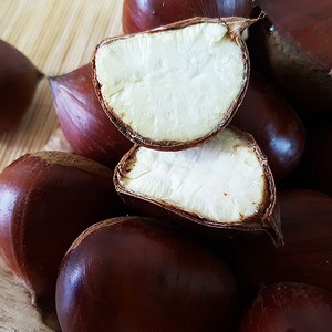 이번가을 공주밤 어떠신가요? 24년 햇 공주알밤 대 2kg, 1개