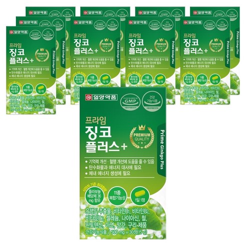 일양약품 프라임 징코 플러스