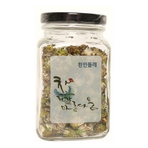 몸사랑 흰민들레꽃차 대
