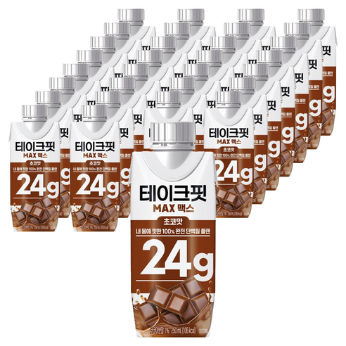 테이크핏 맥스 초코맛 프로틴