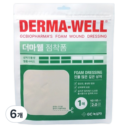 GC녹십자 더마웰 점착폼 진물 많은 깊은 상처, 6개