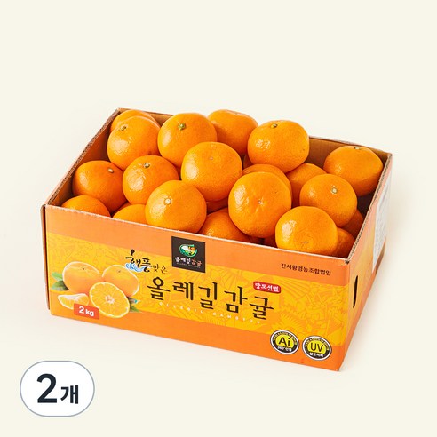[로켓프레시] 올레길 AI 당도선별 12brix 감귤