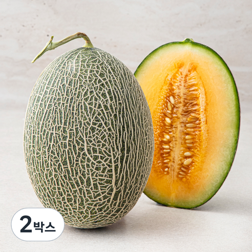[로켓프레시] 아주마 산지직송 고령 그린 하미과 메론