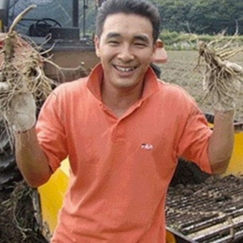 농심을 담은 우리내인삼 정품인삼 못난이 파삼 다양한 선택 폭넓은 가격대 500g750g700g 못생겨도 진짜베기 부부인삼