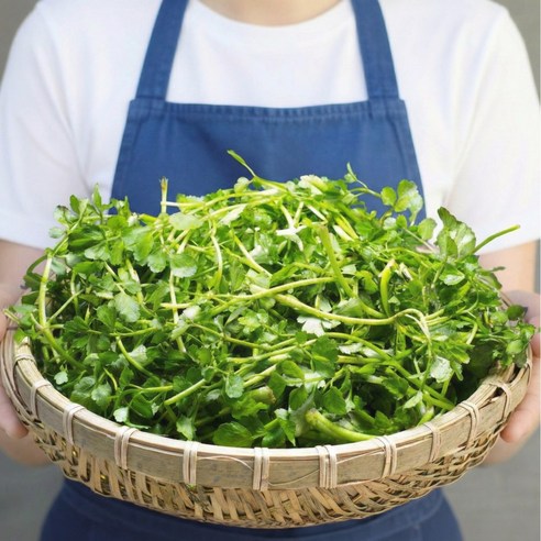 [하루100개한정] 더좋은 미나리 국내산 최고품질, 4kg, 1개