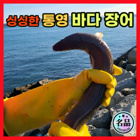 [재구매율1위] 쫄깃탱글 통영직송 손질 바다장어