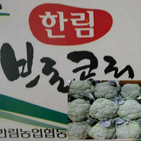 국내산 제주도 브로콜리 최상품 1kg 2kg 4kg박스포함 알뜰농장