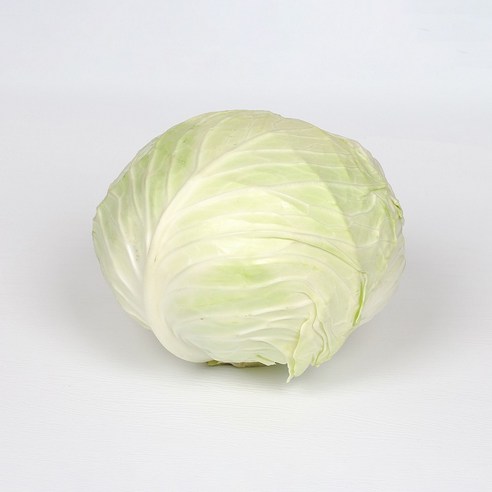 아삭한 국내산 양배추, 3개, 1.5kg