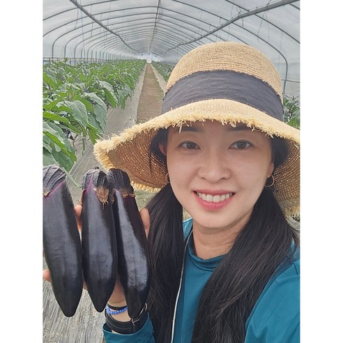 한아름 농장직송 국내산 가지2kg 특품