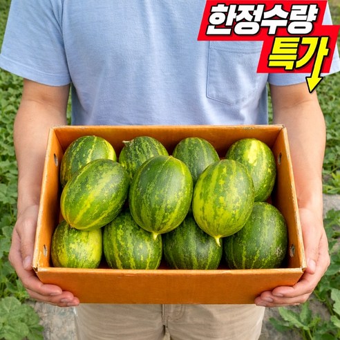 [한정수량] 국내산 산지직송 고당도 파파야메론