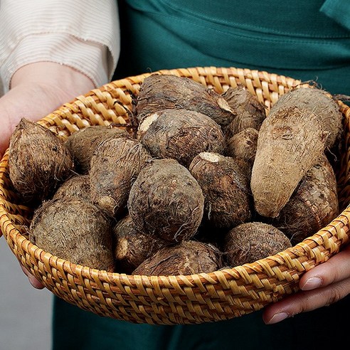 생토란 1kg
