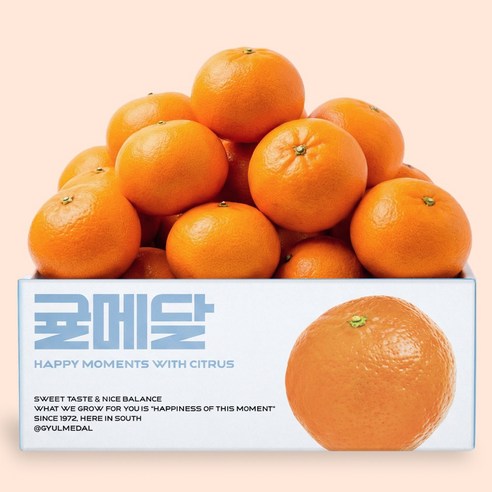 [15브릭스 산지직송] 제주 천혜향 당도선별 귤메달 천헤양 천헤향 천해양 천해향, 1박스, 대과 5kg