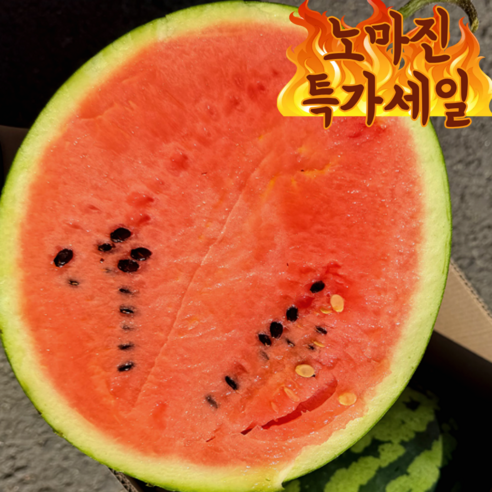 [재구매율1위] 산지직송 고당도 꿀 고창 수박, 1개, 9kg(내외)