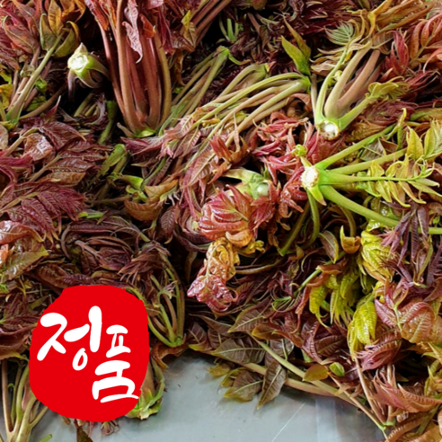 [4월한정] 당일수확 유기농 가죽나물 참죽나무순, 1박스, 1kg