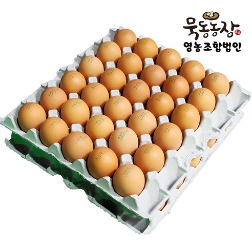 [묵동농장]난각번호3번 HACCP인증 무항생제 특란 60구 바른계란 무정란