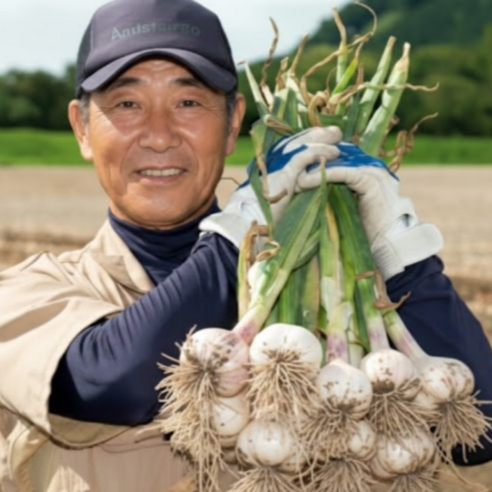 국산 의성 통마늘 저장마늘 토종 최상품