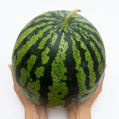 당도선별 수박 하우스, 1개, 4kg~5kg