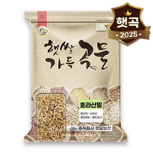 고대곡물 호라산밀