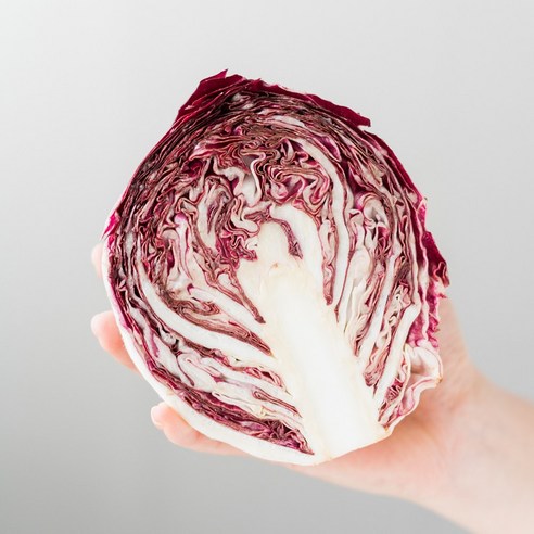 국내산 라디치오 아삭한 레드 치커리, 1개, 2~4통(총 1kg)