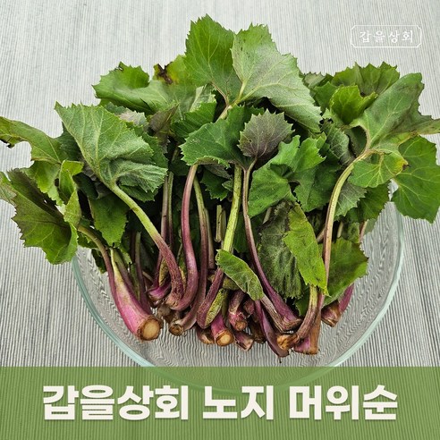 [갑을상회] 노지 머위순 하동 광양 머위 새순 머구, 200g, 1개