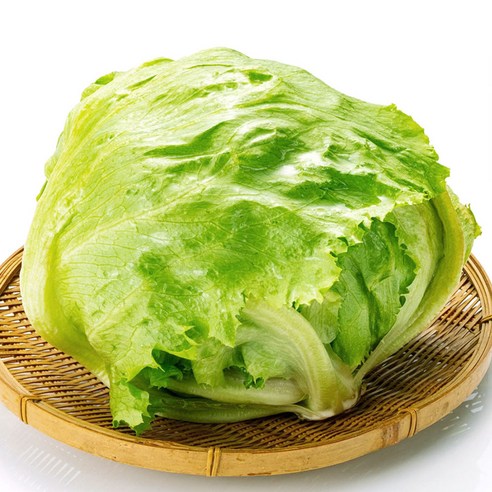 팜이슈 아삭아삭 신선한 국내산 양상추, 350g, 1개