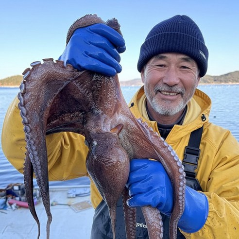 산지직송 경남 통영 쫄깃한 돌문어, 3kg