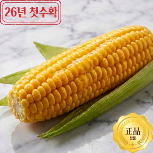 [구매폭주] 26년출시 아삭달콤 당도보장 초당옥수수