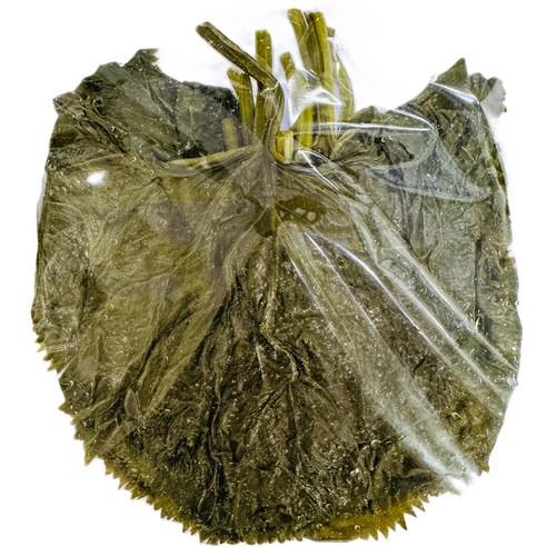 가리봉상회 연변절임 곰취1kg, 1개, 1kg