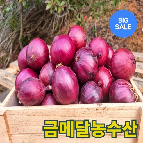 금메달농수산 26년 무안 자색 햇양파