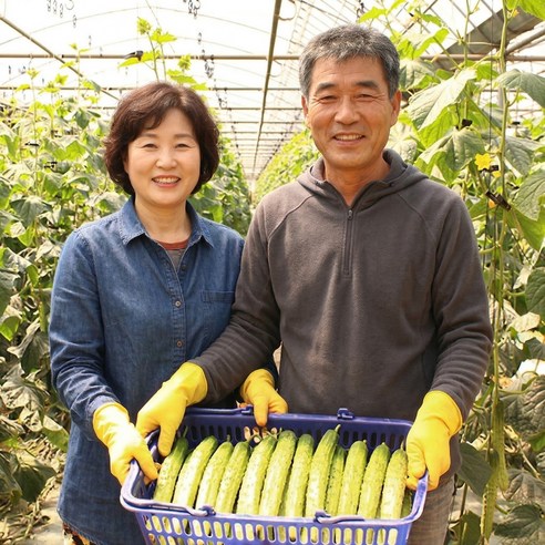 팔도명인 경북상주 백다다기 흑침오이
