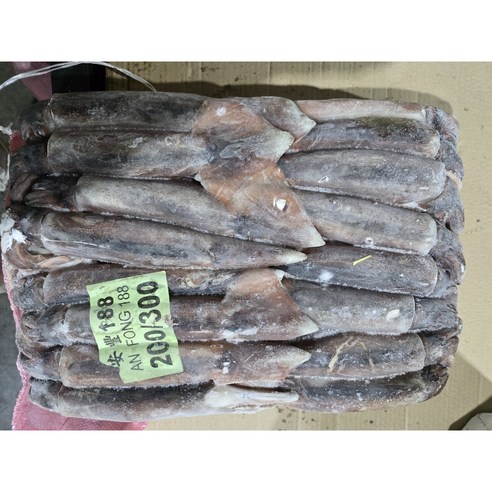 [포클랜드] 선동 포크오징어 S 20kg(아이스박스 무료) 냉동오징어 포크오징어 20kg