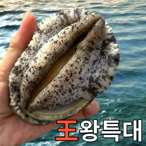 [파도스토리] 완도전복 2kg 왕특대 직거래 산지직송 산소포장 선물 세트