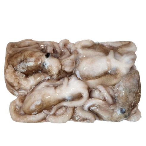 수산잇츠 냉동낙지 급냉 활낙지 연포탕 낙지볶음, 1개, 850g (4미)