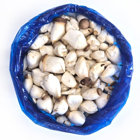 클릭마켓 국내산 새송이 못난이 미니 새송이버섯, 1개, 1kg