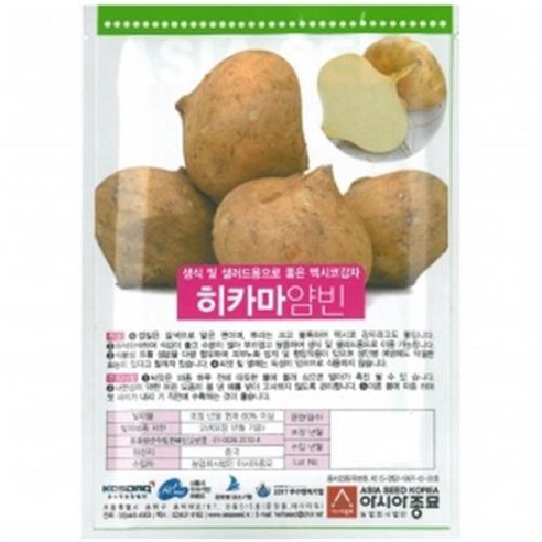 아시아종묘 씨앗 히카마 얌빈 멕시코감자 30립, 1개
