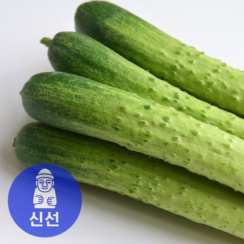 재구매1위 국산 백오이 백다다기 오이 특품