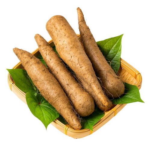 [재구매율1위] 안동 산마 참마 햇 생마 산지직송 디아머스