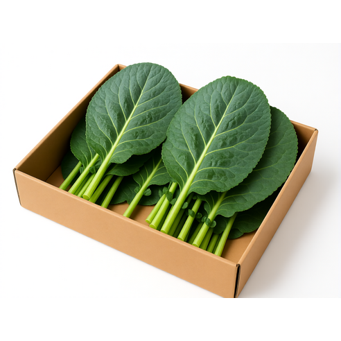 야채이야기 쌈케일 2kg (1.8-2kg) 케일 쌈