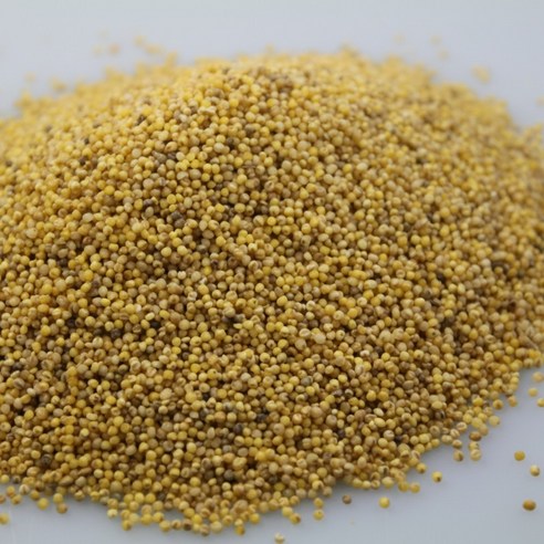 2025년 국산 메조 메좁쌀 찰기없는 좁쌀 모조, 1개, 1kg