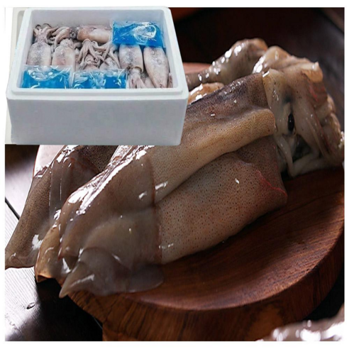[KLEVASHARP] 최성만 장인 청해대왕 자연산 손질 통오징어, 1박스, 1.4kg 내외