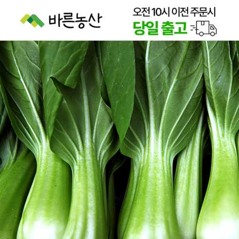 < 바른농산 > 국내산 청경채 마라탕 샤브샤브용, 1개, 4kg