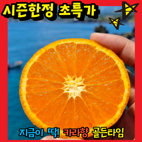 [2주초특가] 산지직송 새콤달콤 제주 카라향