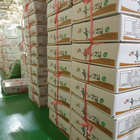 클릭마켓 국내산 가죽나물 참죽 가죽 나무 순 참죽나물, 1개, 2kg