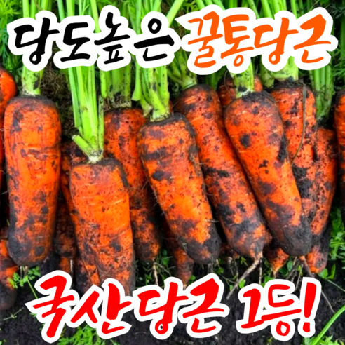 [국산당근1등] 꿀통당근 초특가 국내산 햇 당근, 1박스, 중 5kg