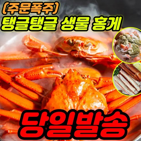 [새벽조업] 국내산 제철 생물 홍게