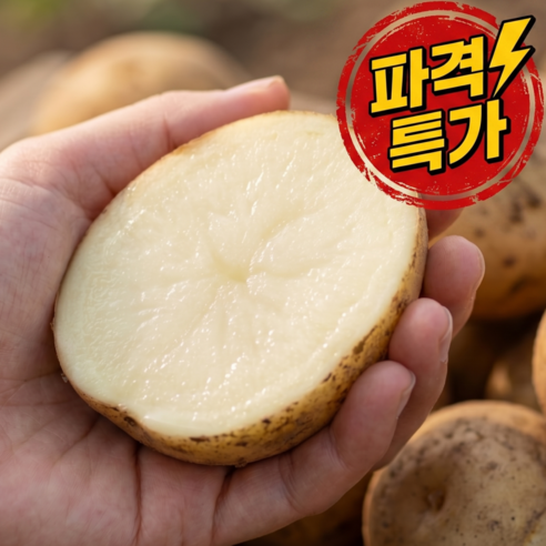 [당일수확] 국내산 수미 감자 햇감자