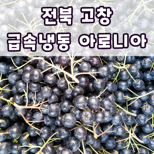 국내산 햇 아로니아 블랙초크베리 특품 최상품 제철 산지직송