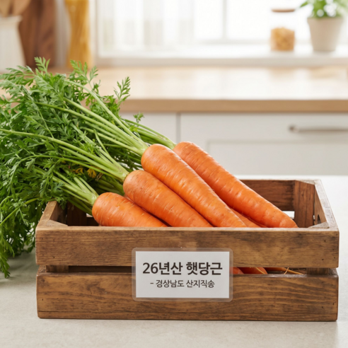 26년 경남 햇당근 중상특왕 첫수확