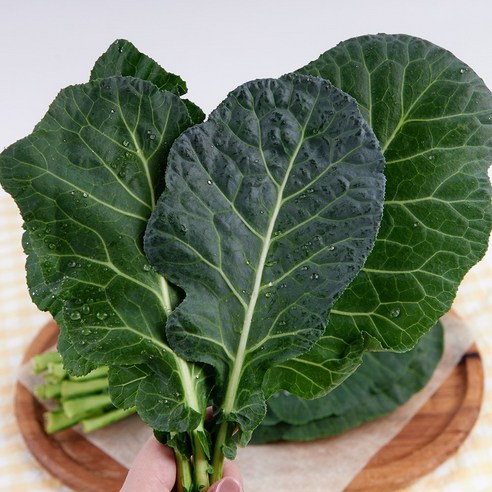 당일수확 신선한 쌈채소 케일 1kg, 1박스, 1kg